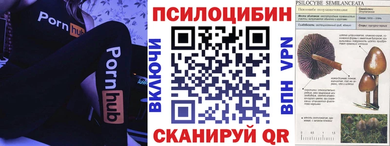 Галлюциногенные грибы мухоморы  Белово 