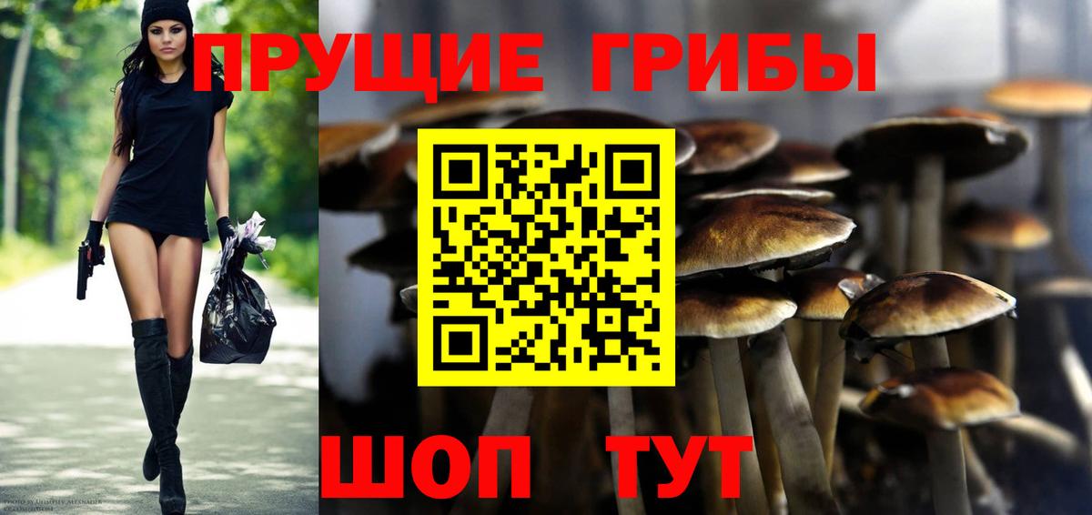 Галлюциногенные грибы ЛСД Белово