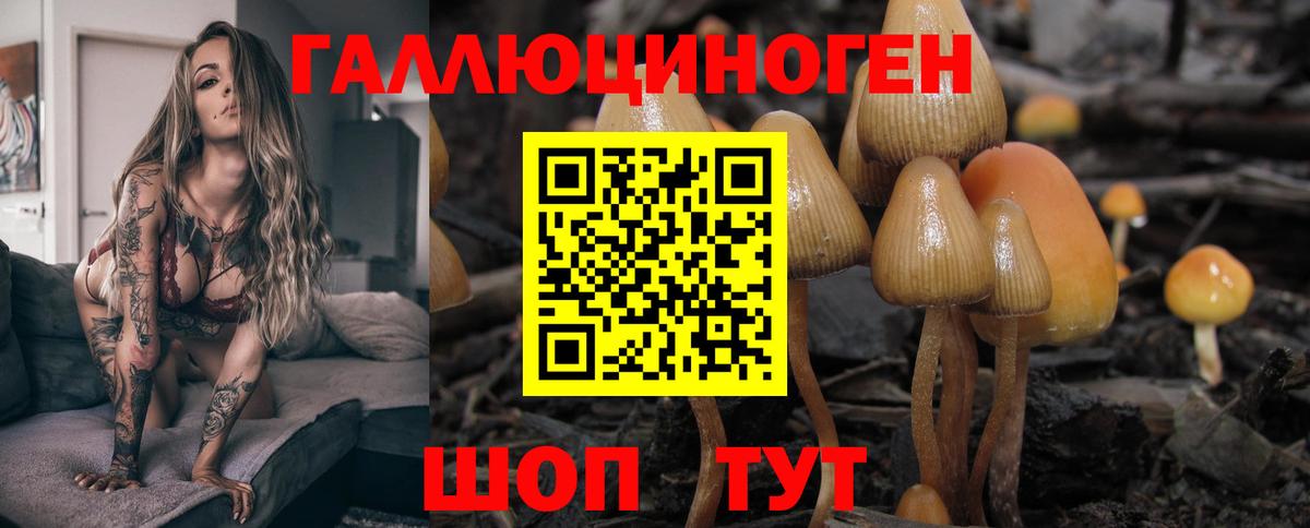 где купить наркоту  Галлюциногенные грибы Psilocybe  Вход с VPN  Белово 